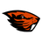 Beavers
