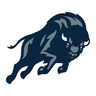Bison