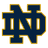 Fighting Irish