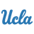 Bruins