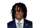 Cataurus Hicks