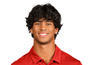 Isaac Lee