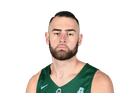 Samir Sehic
