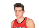 Luka Brajkovic