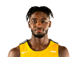 Ibn Williams
