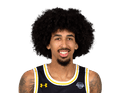Bryce Johnson