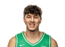 Joul Karram