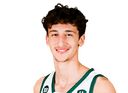 Roee Oselka