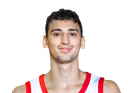 Andrej Shoshkikj
