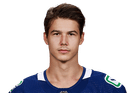 Nikolay Goldobin