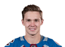 Vladislav Kamenev