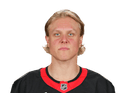 Fabian Zetterlund