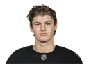 Lukas Reichel