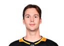 Joel Blomqvist