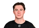 Fraser Minten