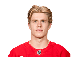 Michael Brandsegg-Nygård