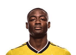Fanendo Adi