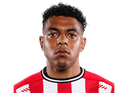 Donyell Malen