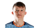 Mitja Ilenic