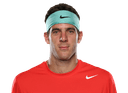 Juan Martín del Potro