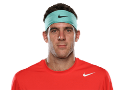 Juan Martín del Potro