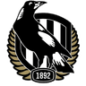 Collingwood