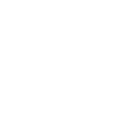 Raptors