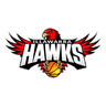 Hawks