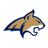 Bobcats