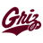 Grizzlies