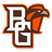 Falcons