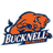 Bison