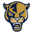Panthers