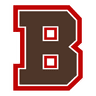 Brown Bears