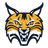 Bobcats