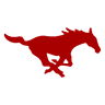 Mustangs