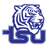 Tigers