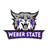 Wildcats