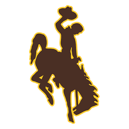 Cowboys