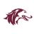 Salukis