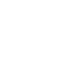 Lightning
