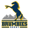 Brumbies