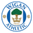 Wigan Athletic