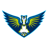 Dallas Wings