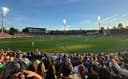 Corroboree Group Oval Manuka