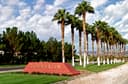 TPC Summerlin