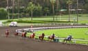 Santa Anita Park